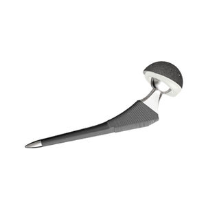Hip Implants